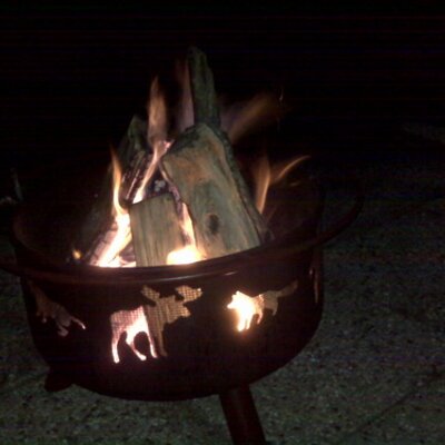 Profile Picture of Dave Busse (@dbusse45) on Twitter