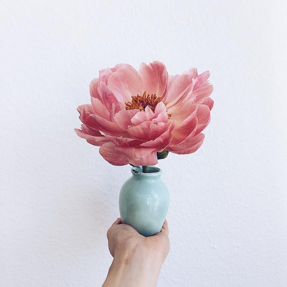 Profile Picture of Jacqueline Harrison (@jacquelineh5236) on Poshmark