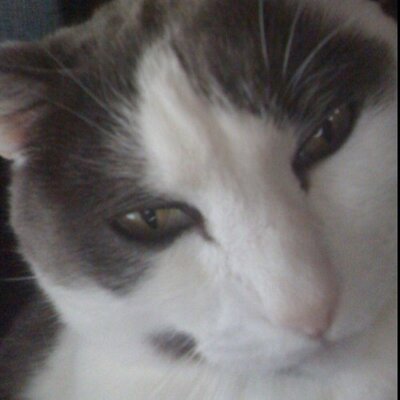Profile Picture of Laura Skelton (@Lauraeskelton) on Twitter