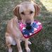 Profile Picture of Fay Reid (@fay.reid.528) on Facebook