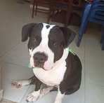 Profile Picture of Bertha Tovar (@bertha.tovar.370) on Facebook