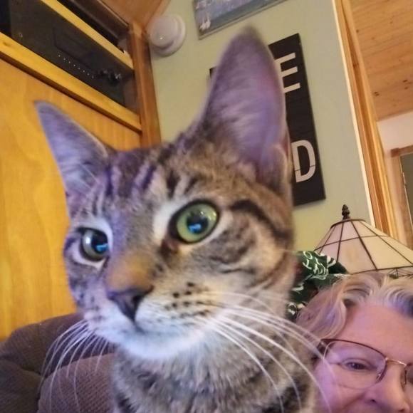 Profile Picture of Marty Wenning (@mawenning) on Poshmark