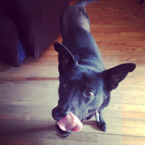 Profile Picture of Amanda Hughes (@amandalynn8) on Poshmark