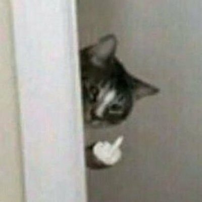 Profile Picture of Kurt C. Hose (@joe_schwarzkopf) on Twitter