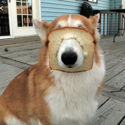 Profile Picture of Hazel Adams (@hazeladamss) on Twitter