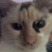 Profile Picture of Jackson L Engstrom (@jacksonlengstrom) on Pinterest