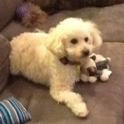 Profile Picture of Kim Loveday (@Tooold62) on Twitter