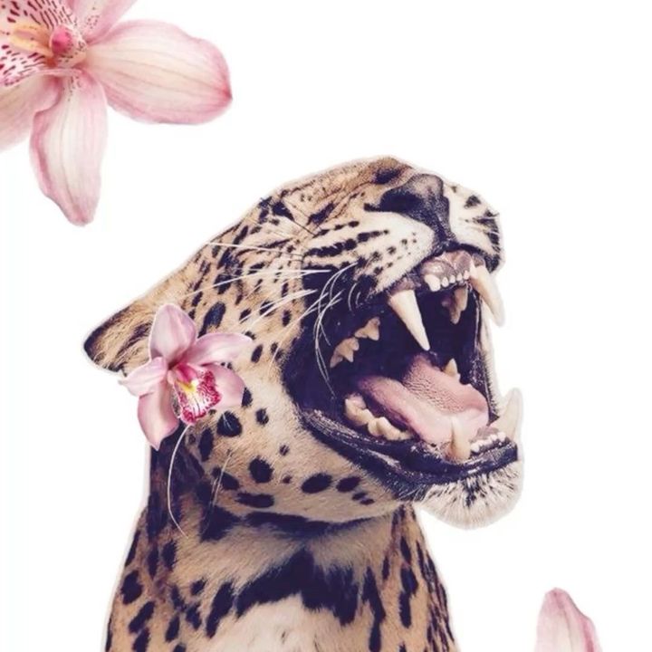 Profile Picture of Sami Speelman (@speelman14) on Tiktok