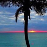 Profile Picture of James Shearin (@shearinjames) on Instagram