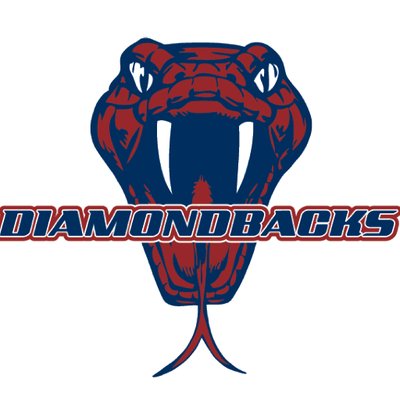Profile Picture of Dessau MS Athletics (@DMS_Atheltics) on Twitter