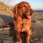 Profile Picture of Peter Ladner (@Peter-Ladner) on Facebook