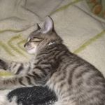 Profile Picture of Benjaminresendez (@benjaminresendez9) on Instagram