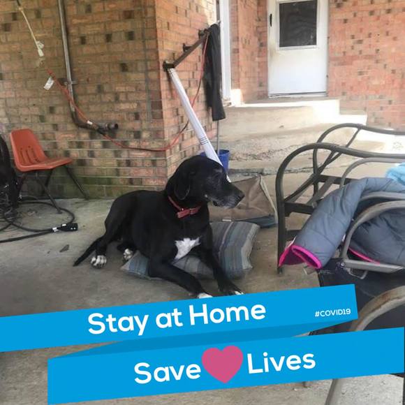 Profile Picture of Fern Hurt (@fernh97) on Poshmark