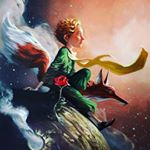 Profile Picture of Il Piccolo Principe 💫 (@lion.andrew) on Instagram