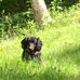 Profile Picture of Rose Dunbar (@Rose-Dunbar) on Facebook