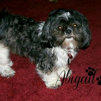 Profile Picture of Lindsay Baumann (@brianna4609) on Twitter