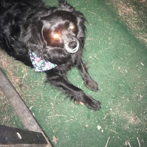 Profile Picture of Jeremy Shahan211 (@jeremyshahan211) on Tiktok