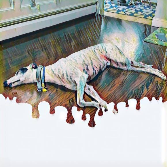 Profile Picture of Pamela Fatone (@thrivewithpjf) on Poshmark