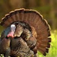 Profile Picture of Chase Braun (@chase-braun-7) on Quora