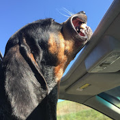 Profile Picture of Rodney Benneman (@rodneybenneman6760) on Youtube