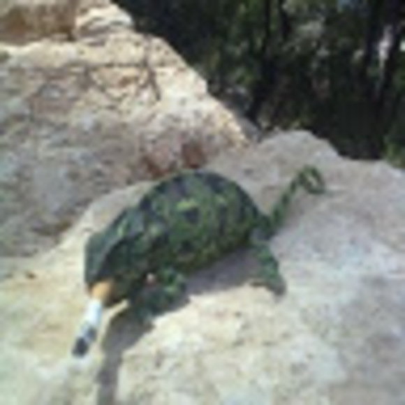 Profile Picture of Michel Deeb (@micheldeeb) on Poshmark