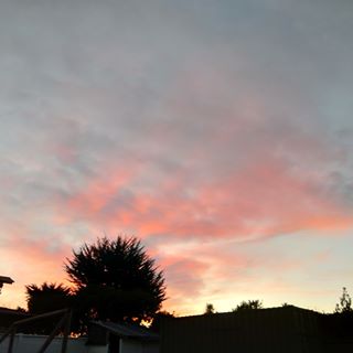 Profile Picture of Vicky Tobar (@Vicky-Tobar) on Facebook