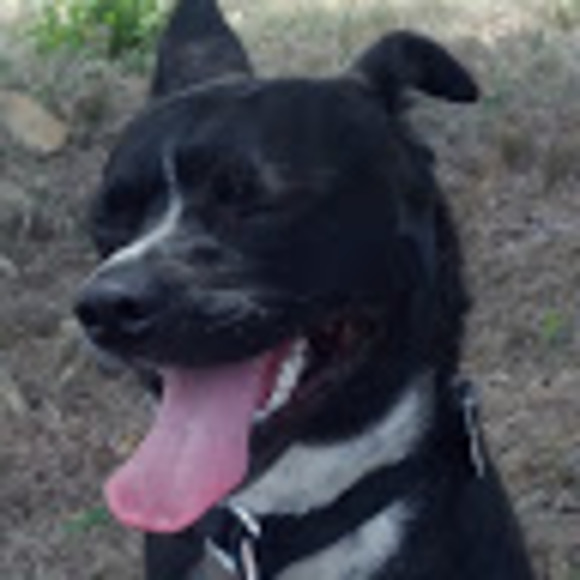 Profile Picture of Leo Mora (@leoba20182) on Poshmark