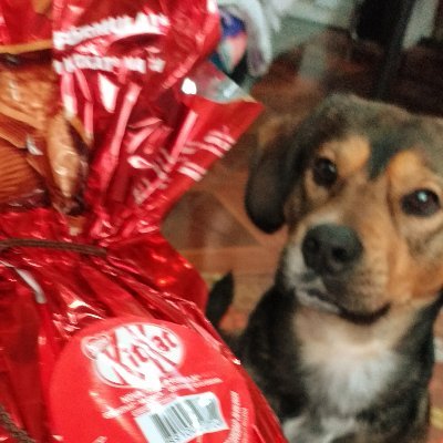Profile Picture of Eva Ovalle (@Evaovalle5) on Twitter