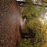 Profile Picture of CINDY (@hukillkaleb) on Instagram