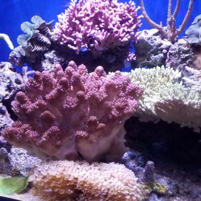 Profile Picture of Mike Dreyfus (@mikedean1995) on Twitter