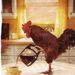 Profile Picture of Robin Cagle Bastion (@robinbastion) on Pinterest