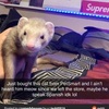 Profile Picture of Betty Sinclair236 (@@merrythekat) on Tiktok