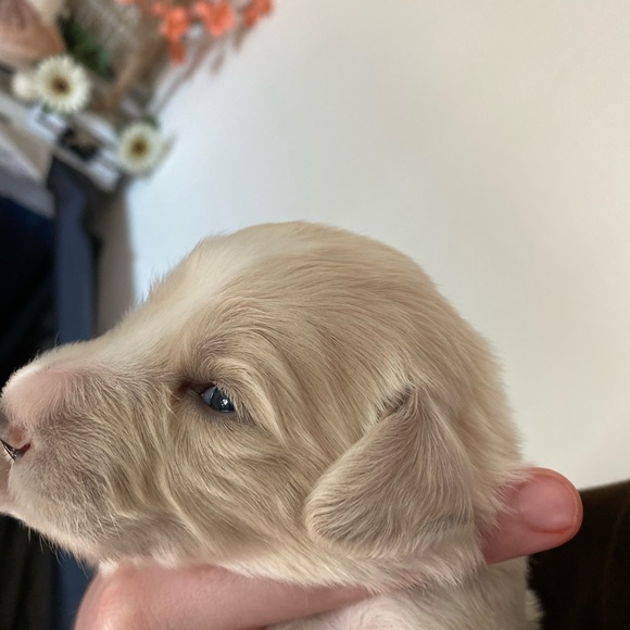 Profile Picture of Joey Orta (@joeyorta) on Poshmark