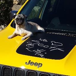 Profile Picture of Scott Contino (@ScottCon_LCJD) on Twitter