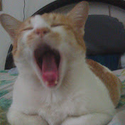 Profile Picture of John Wee (@johnweesf) on Youtube