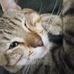 Profile Picture of Kim Blight (@miranda.lujan.9843) on Facebook