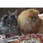 Profile Picture of Jeannette Pawluk (@Jeannette-Pawluk) on Facebook