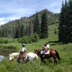 Profile Picture of Chris Voyvodic (@voyvodicchris) on Instagram