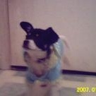 Profile Picture of Elvis Thacker (@fatroll1234) on Myspace
