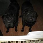 Profile Picture of Betty Dolinski (@dolinskibetty) on Instagram