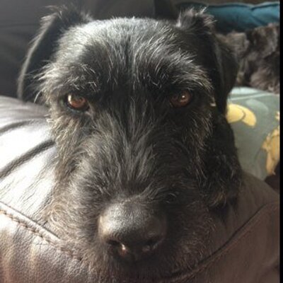 Profile Picture of Matt Exley (@Matexley) on Twitter