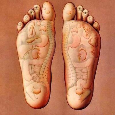 Profile Picture of Haj Abouhamad (@AbouhamadHaj) on Twitter