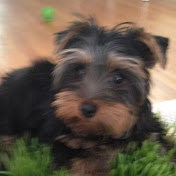 Profile Picture of Ellen Hogan Kirkman (@ellenhogankirkman7910) on Youtube