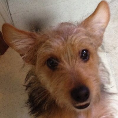 Profile Picture of Marc Reppert (@MarcJayP) on Twitter