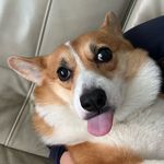 Profile Picture of 劉子寧 (@28.ning) on Instagram