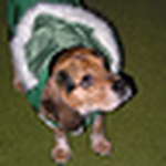 Profile Picture of J.harstad (@j.harstad) on Flickr