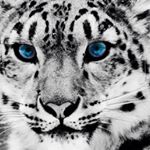 Profile Picture of Laura Devincentis (@lauradevincentisipad) on Instagram