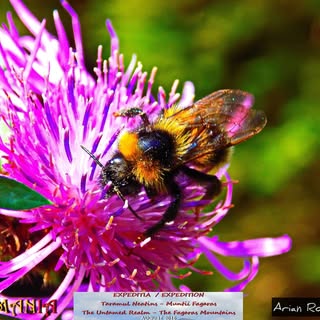 Profile Picture of Joseph Rizzo (@rizzo_joseph) on Instagram