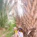 Profile Picture of Aynaz Alavi (@aynaz.alavi.9) on Facebook