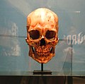 Profile Picture of Kennewick Man - Wikipediaon Wikipedia